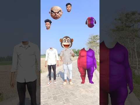 Red, Purple colours Fatty dog vs cute brothers & me correct head matching with Moye moye songs 😁