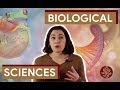 Biology Course Application Insights