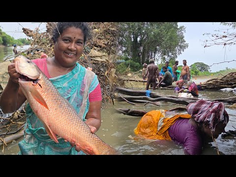 ஆற்றில் கைகளால் தடவி மீன் பிடிக்கும் பெண்கள் | Traditional Fish Catching in River | Hand Fishing