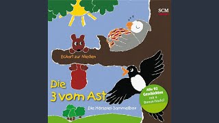 Die 3 vom Ast und die Wahrheit - 13 - Unangenehme Wahrheiten.4 - Die 3 vom Ast