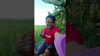 Kumpulan Video lucu Shorts Boni Saputra Kocak Dan Gokil Part 33