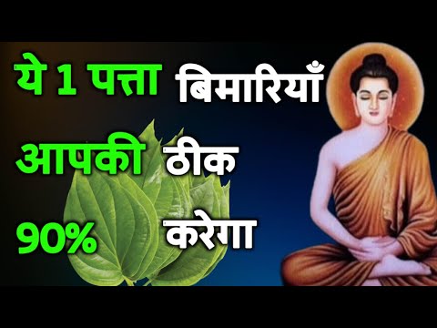 ये 1 पत्ता आपकी 90% बिमारियाँ ठीक करेगा | Buddhist Story To Betel Leaves Benefits...