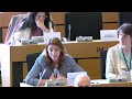 The importance of the Single Market: EUROPEN’s Francesca Stevens at the IMCO Committee