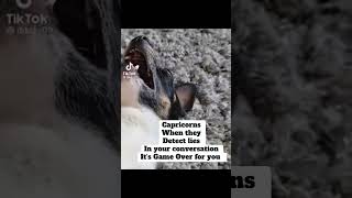 #capricorn #capricornenergy #capricornzodiac #zodiac #zodiacsigns #fyp #shortsviral