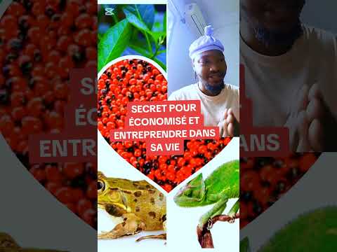 SECRET POUR ÉCONOMISÉ  L'ARGENT SANS PEINE ET ENTREPRENDRE DANS SA VIE