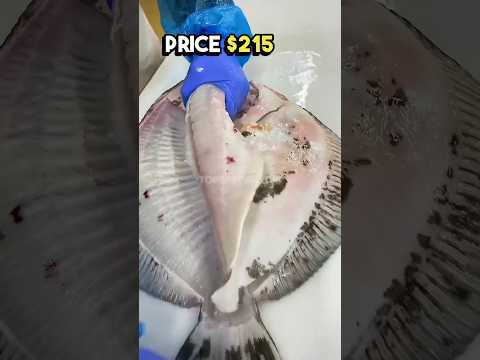 The 5 most expensive fish to eat in the world #top5 #expensive #fish
