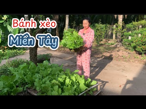 Cứ Hễ Có Cải Xanh Là Dung Lại Đổ Bánh Xèo Cho Cả Nhà Ăn Khi Nào Ngán Thì Thôi - Em Gái Quê