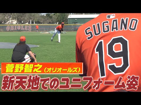 【菅野智之】新天地でユニフォーム姿を披露「キャッチャーを座らせての投球で好感触」【オリオールズキャンプ】