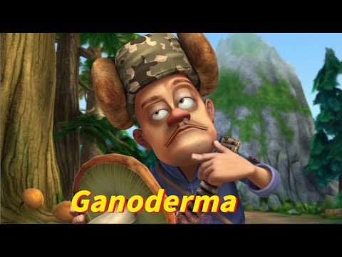 Boonie Bears or Bust 🐻 Ganoderma