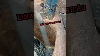 trabalho com tupia #shorts