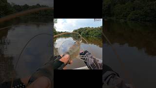 dikira ranting kayu.. ternyata udang galah yang kelaparan.. #udanggalah #fishing #hobimancing