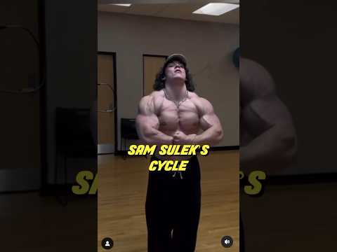 Sam Sulek’s Cycle 💪🏼