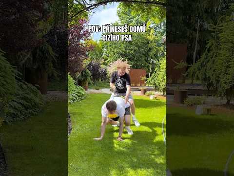 HODNĚ DIVOKEJ PES🤣 #funny #shorts #dog #mom #relatable
