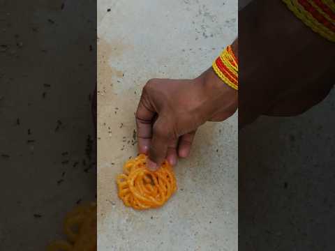😱 छोटे हैं पर जीव हैं 😱🫂#humanity #respect #helping #ant #trending #viralvideo #youtubeshorts😱🙏