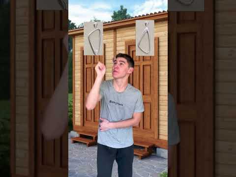 Is it male or female? 😅