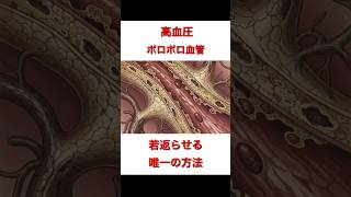 【高血圧】ボロボロの血管を若返らせる唯一の方法