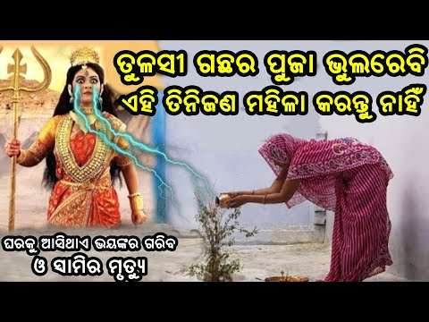 ମରିଗଲେ ବି ଏହି ମହିଳା ମାନେ ତୁଳସୀ ପୁଜା କେବେବି କରନ୍ତୁ ନାହିଁ.... ଲାଗିଥାଏ ମହାପାପ ହୋଇଥାଏ ସ୍ବାମୀଙ୍କ ମୃତ୍ୟୁ