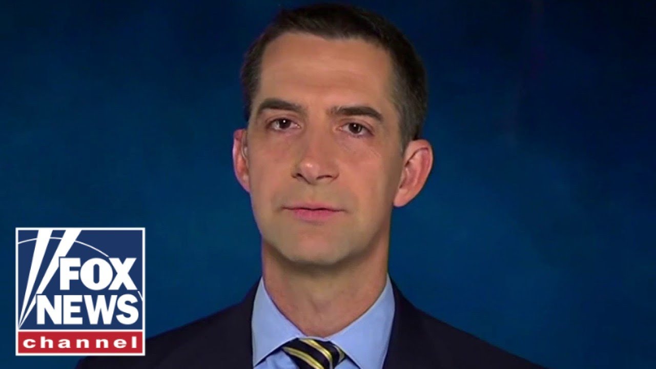 Tom Cotton: ‘This will hurt so many Americans’￼