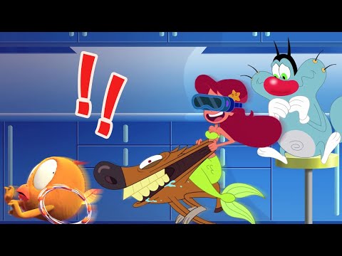 Oggy And the Cockroaches, Zig & Sharko, Where's Chicky ! 🤩 New Cartoon Compilation