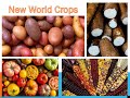 Exploring The Columbian Exchange