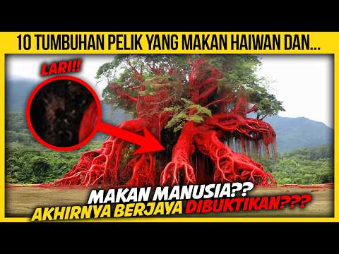 10 TUMBUHAN PELIK YANG MAKAN HAIWAN DAN...