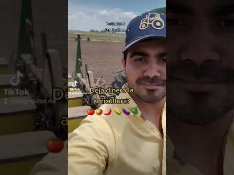 Deja dinero la agricultura? 👨🏽‍🌾🌽