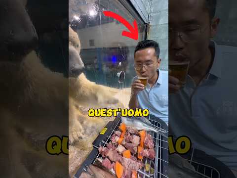 ORSO POLARE CON IL CUORE SPEZZATO! #triste #carino #animale