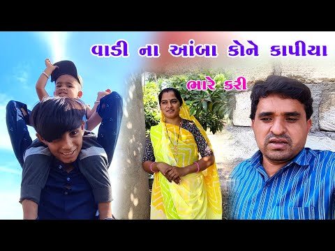 વાડી ના આંબા કોને કાપીયા || Mitraj family Vlogs