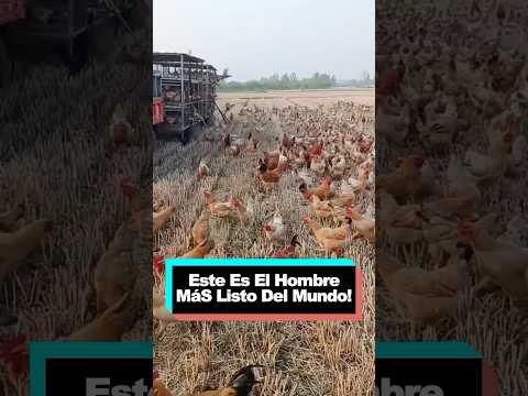 Este Es El Hombre MáS Listo Del Mundo! #youtube #funny #delicious