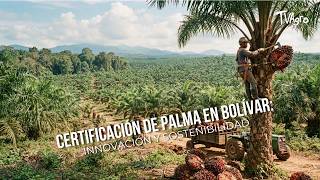 YouTube video thumbnail: Palm Oil Certification in Bolívar: Innovation and Sustainability