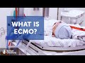 ECMO Function and Safety Measures