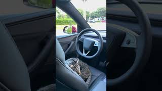 Tesla Unsupervised Full Self-Kitty in Miami🐱