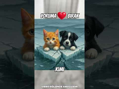 Yardım etmeye çalıştı ama pişman oldu😬