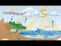 Understanding the Water Cycle