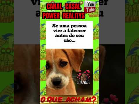 SEU DOGUINHO SENTE MUITO SUA FALTA #casalpowerrealitys #amoraosanimais