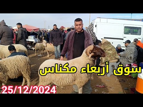 مباشرة من أربعاء مكناس 25/12/2024 أثمنة الخروف الكسابي والحولي والنعجة وخروفة ماعز فرجة ممتعة