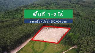 แปลง "มนต์เสน่ห์แห่งขุนเขา"