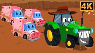 Old MacDonald Had A Farm, Animal Fun for Kids