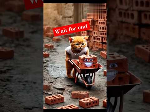 ইট এর জীবন 🤣🤣#trending #funny #cat