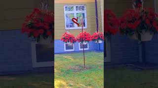 “Una casa llena de flores es una casa llena de vida“A house full of flowers is a house full of life.
