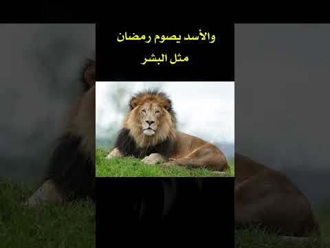 اختبر معلوماتك حول عالم الحيوان 🐢🦈🦩🦘🐌🐪🐅🐇🦘 #اسئلة #نمي_عقلك #عالم_الحيوان #الغاز #سؤال_وجواب #foryou