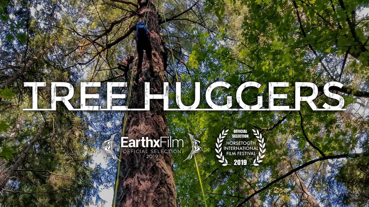 Tree Huggers
