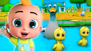 5 Little Ducks - Baby songs - Nursery Rhymes & Kids Songs