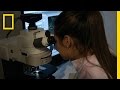 Understanding Aging and Disease Prevention