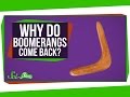 Boomerang Flight Mechanics and History