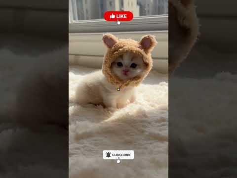 😱 Фиона взбесилась от ревности! 💚