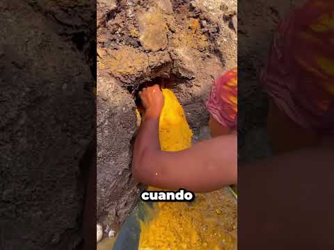 Pensó Que Era Solo Lodo… Pero Encontró Una Fortuna En El Río 😳