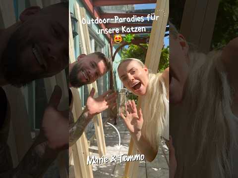 Wir haben unseren Kätzchen ein Paradies gebaut🥹❤️!!! #shorts