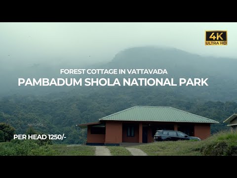 Vattavada Forest Stay | Pambadum Shola National Park | Vlog#90