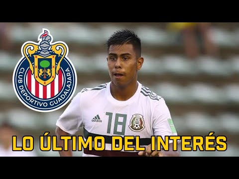 🚨Lo Último del fichaje de Efraín Álvarez con Chivas | noticias chivas | refuerzos chivas